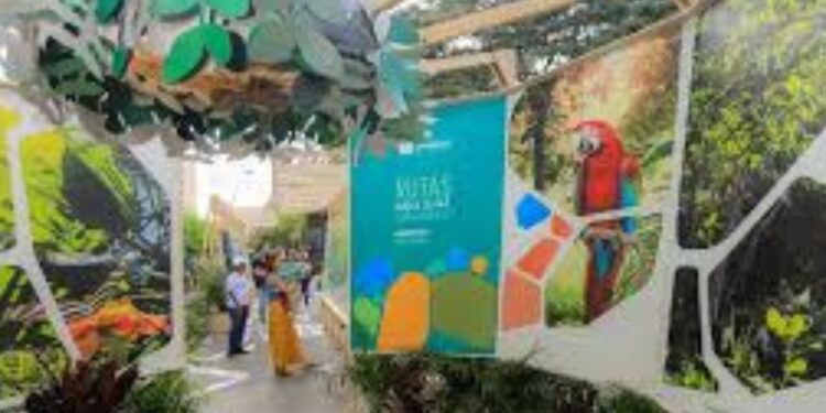 La Región Caribe presenta sus desafíos ambientales en la COP16