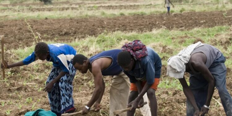 Alternativas alimentarias