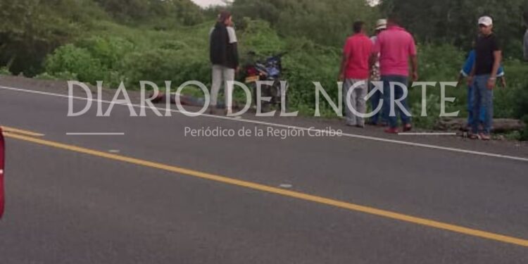 Hombre de la etnia wayuú falleció al chocar con un burro en la vía Riohacha – Maicao