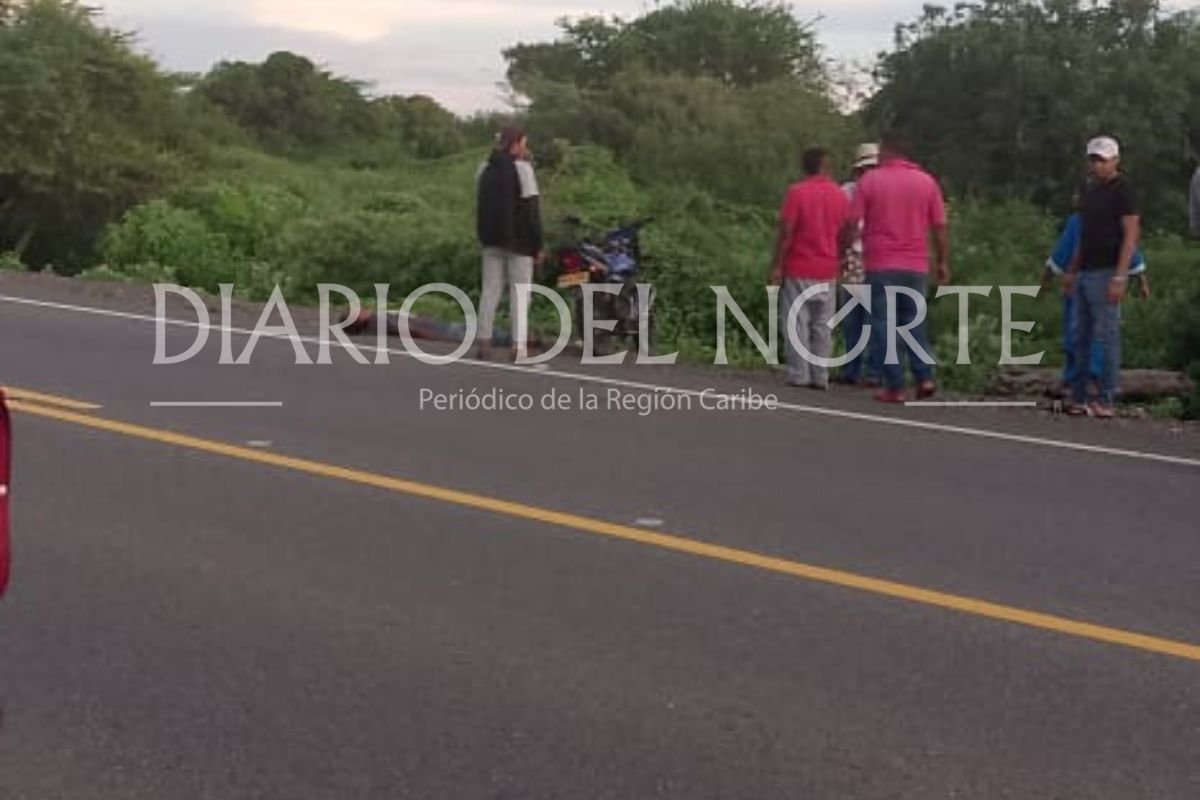 Hombre de la etnia wayuú falleció al chocar con un burro en la vía Riohacha – Maicao