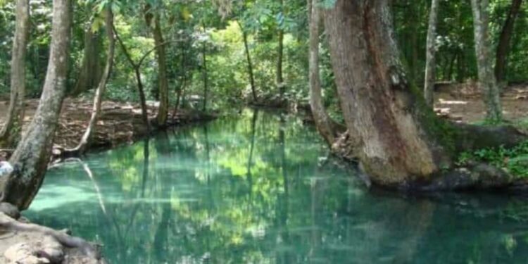 Corpoguajira impulsa un proyecto participativo para la conservación del Manantial de Cañaverales