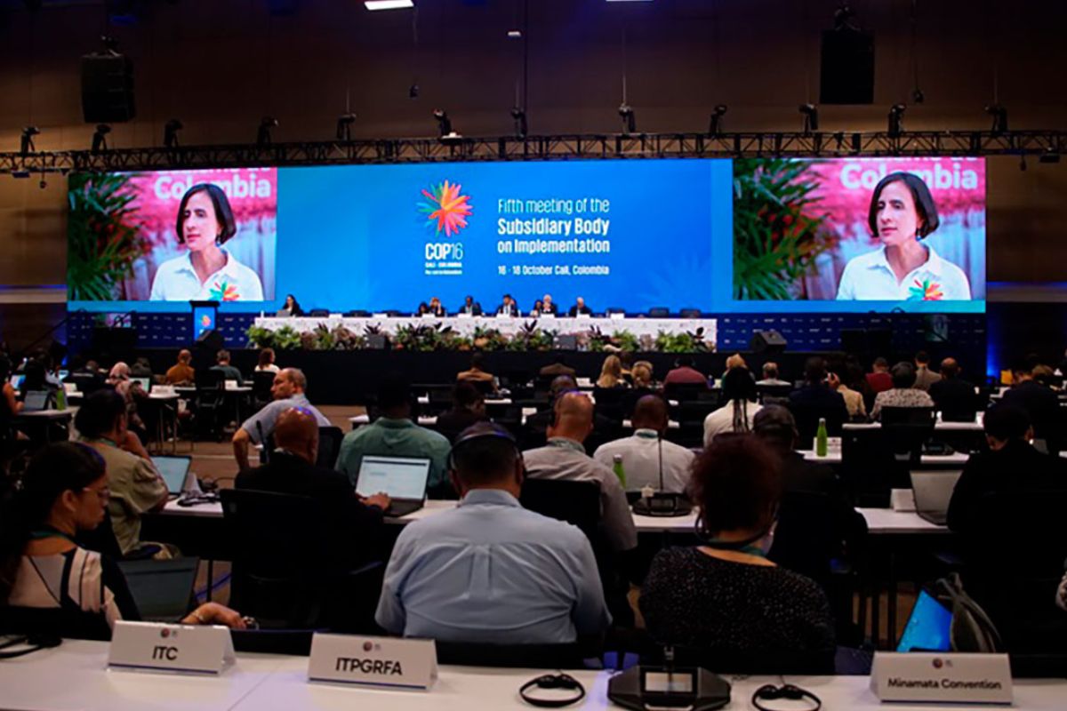 La COP16 el evento más importante de la biodiversidad en el mundo, inicio en Cali