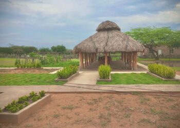 Primer hogar sustituto étnico en La Guajira para proteger a la niñez wayuú