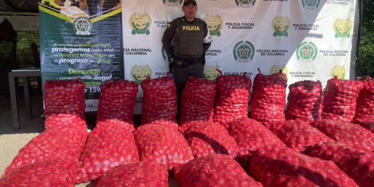 Incautan 13 toneladas de cebolla de contrabando en La Guajira