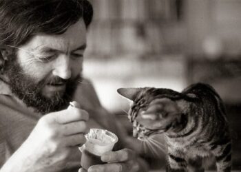 Solidaridad en ‘La autopista del sur’, de Cortázar