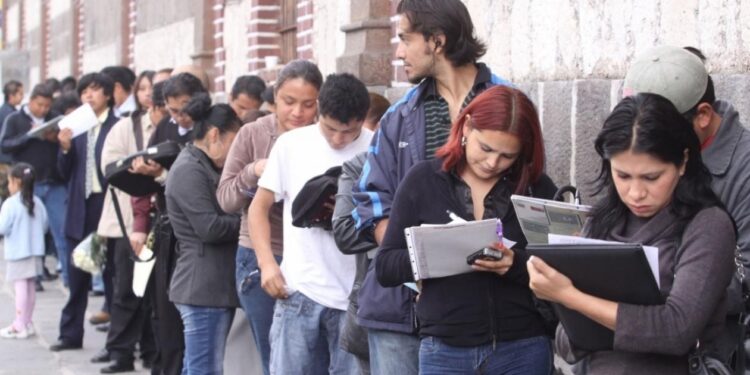 Dane registró 311.000 desempleados menos en octubre de 2024: Quibdó, Riohacha y Florencia, con las mayores tasas de desocupación