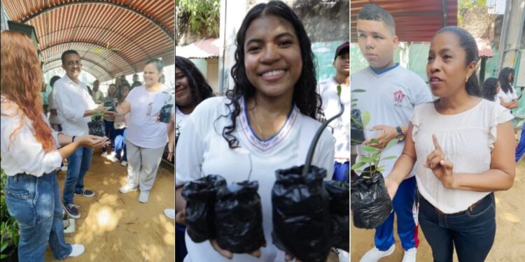 Estudiantes contribuyen a la conservación ambiental con donación de mangles en Riohacha