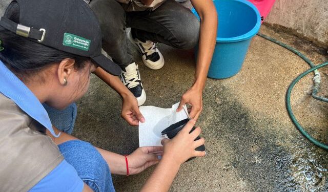 La Guajira avanza en su lucha contra el dengue con innovadoras estrategias de control