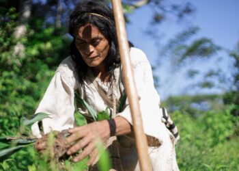 Corpoguajira y comunidad de Tugeka siembran 300 árboles en las estribaciones de la Sierra Nevada