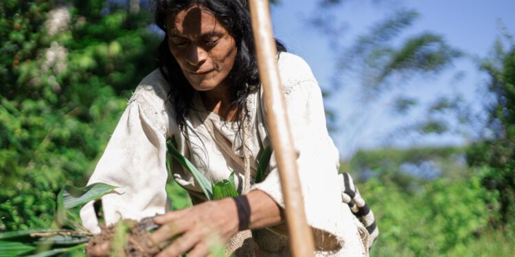 Corpoguajira y comunidad de Tugeka siembran 300 árboles en las estribaciones de la Sierra Nevada