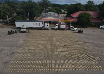 Incautan cerca de dos toneladas de marihuana que dejaron abandonada en El Molino