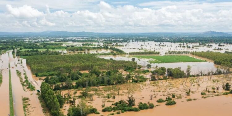 La Procuraduría hace duras críticas sobre el manejo de declaratoria de emergencia nacional