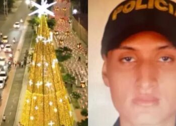 Muere auxiliar de la Policía en Girardot al caerle encima un árbol gigante de Navidad
