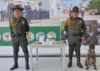 Incautan 1.100 dosis de cocaína y sus derivados en Valledupar, procedentes de Maicao