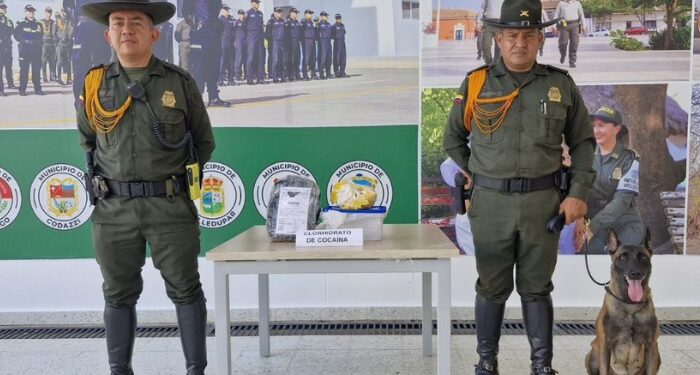 Incautan 1.100 dosis de cocaína y sus derivados en Valledupar, procedentes de Maicao