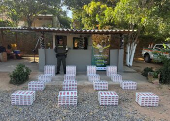 Incautan 4.950 cajetillas de cigarrillos de contrabando en el departamento de La Guajira