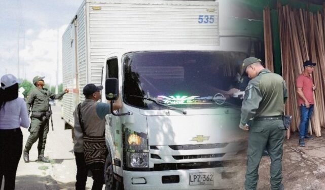 Corpoguajira se unió al operativo de Minambiente contra el tráfico de flora, fauna y recursos maderables