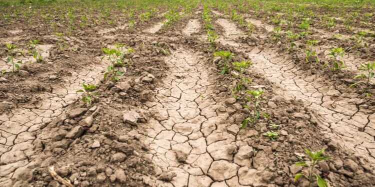 Ideam advierte sobre nueva temporada seca en Colombia; se extendería hasta marzo de 2025