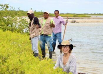 Corpoguajira realizará el Taller Nacional de Manglares