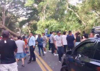 Saqueo de supermercado desata alteración de orden público en el corregimiento de Palomino