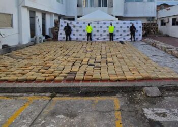 Incautan más de 1.700 kilos de marihuana al grupo delincuencial ‘Los Costeños’ en Barranquilla