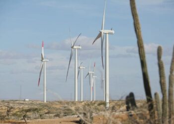 En 2025 Ecopetrol hará inversiones millonarias para la lucha contra el cambio climático