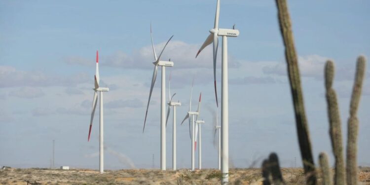 En 2025 Ecopetrol hará inversiones millonarias para la lucha contra el cambio climático