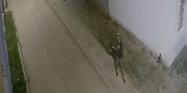 Hombre se robó lámparas reflectoras en los barrios Cristo Vive y Montes de Oca en Maicao