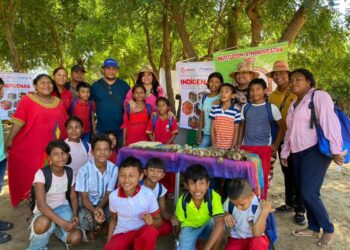 Varios colegios de La Guajira recibieron talleres  de música y arte en los meses octubre y noviembre