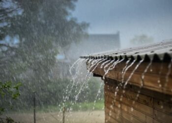 Sector agropecuario debe estar preparado para enfrentar el fenómeno de La Niña, Ideam
