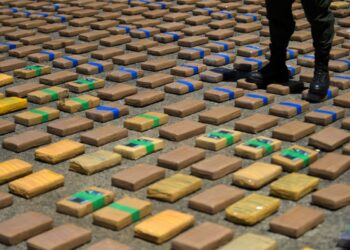 En el año 2024, fue incautada más de 848 toneladas de cocaína, un 14 % más que el año anterior