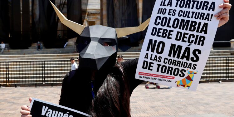 Corte Constitucional admite demanda contra ley que prohíbe corridas de toros en Colombia
