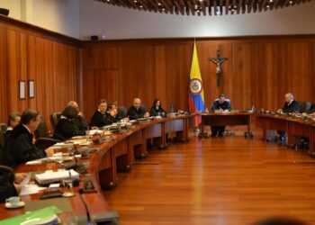 Garantías procesales y derechos políticos: escrito para no abogados (as) (II parte)