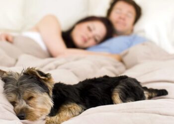 Las nuevas generaciones y la necesidad de una política pública basada en la nueva longevidad