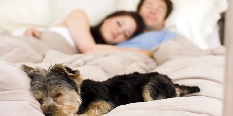 Las nuevas generaciones y la necesidad de una política pública basada en la nueva longevidad