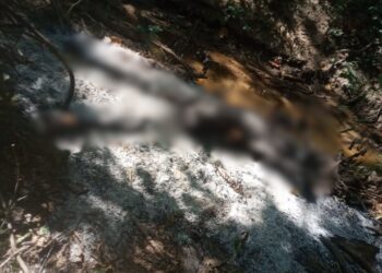 Cuerpo calcinado encontrado en zona rural  de Fonseca permanece sin identificar