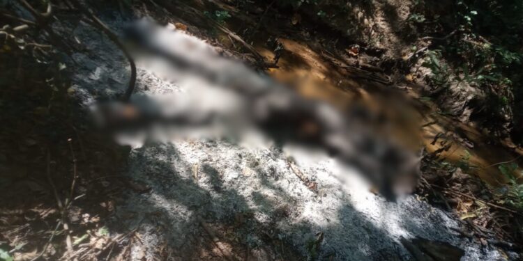 Cuerpo calcinado encontrado en zona rural  de Fonseca permanece sin identificar