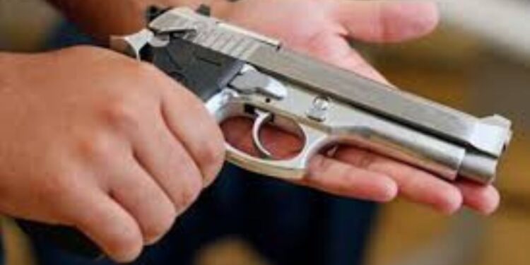 Ejército Nacional reafirma la prorroga de la  prohibición de armas de fuego para el 2025