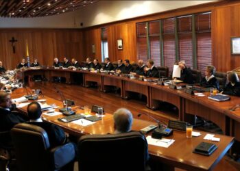 Garantías procesales y derechos políticos: escrito para no abogado (a)s