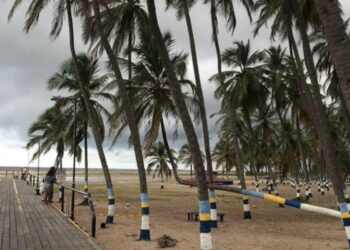 Golondrinas en invierno