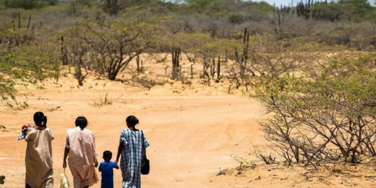 Comunidad Wayuú anuncia paro indefinido en el departamento de La Guajira