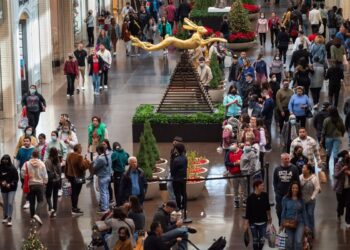 El mercado capitalista es de truhanes