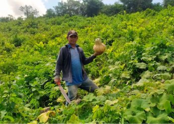 ONU dio parte de confianza a Colombia por cumplimiento del Acuerdo de Paz en materia de acceso y uso de la tierra