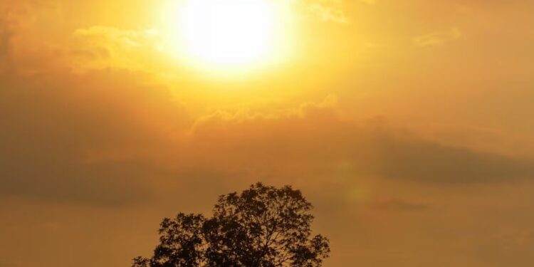 Tiempo seco y cielos despejados con altos niveles de radiación solar en el departamento de La Guajira