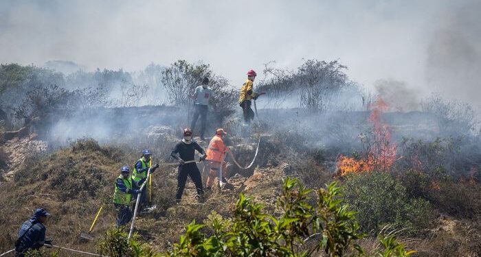 Alerta roja en el Magdalena por incendios forestales y altas temperaturas