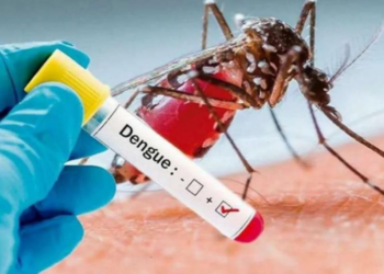 Brasil lanza su primera vacuna contra el dengue y producirá 60 millones de dosis al año