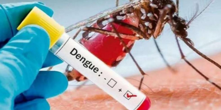 Brasil lanza su primera vacuna contra el dengue y producirá 60 millones de dosis al año