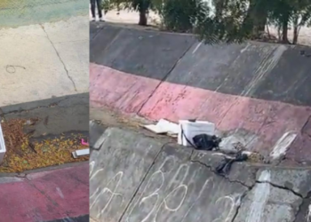 Macabro hallazgo: encuentran cuerpo desmembrado dentro de una cava de icopor en Cúcuta