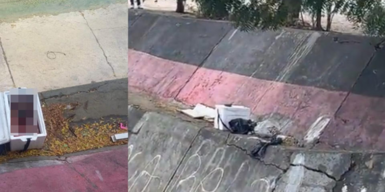 Macabro hallazgo: encuentran cuerpo desmembrado dentro de una cava de icopor en Cúcuta