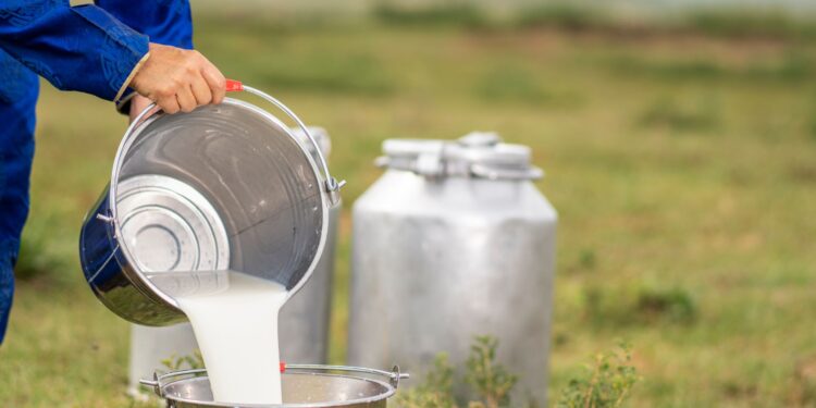 La Guajira, segundo departamento con mejor calidad de leche en Colombia